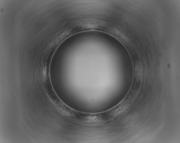X0000078260406200611031207