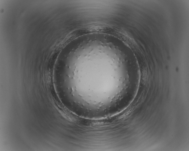 X0000078260413200611031207