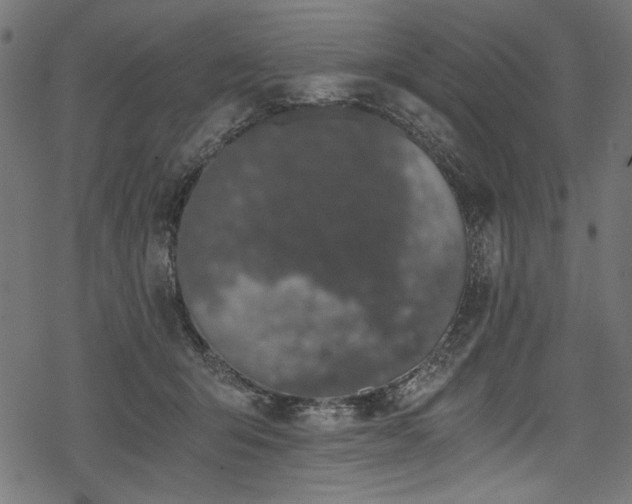 X0000078260415200611031207
