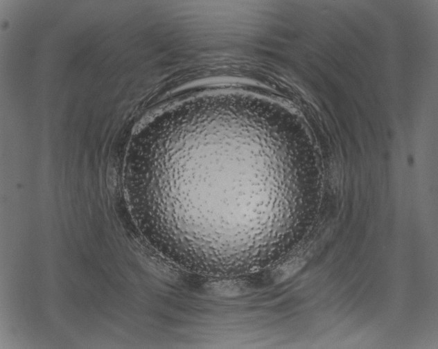 X0000078260417200611031207