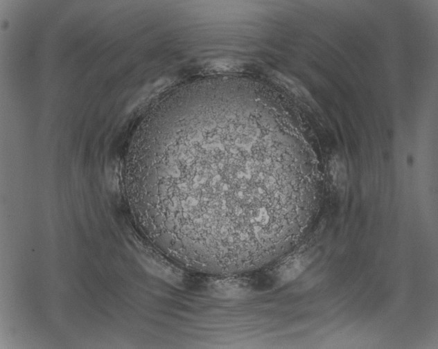 X0000078260423200611031207