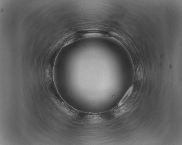 X0000078260424200611031207
