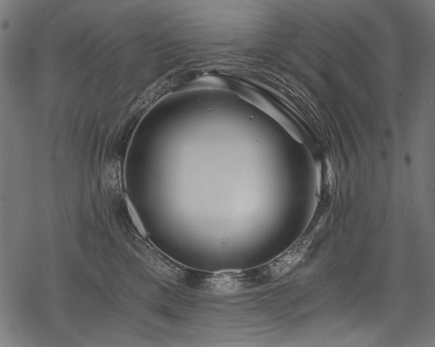 X0000078260425200611031207