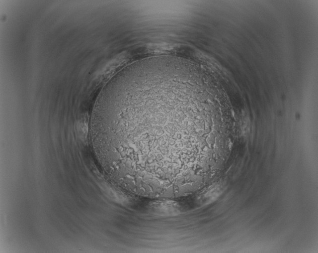 X0000078260427200611031207