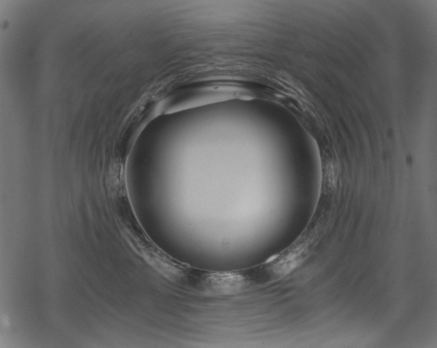 X0000078260429200611031207