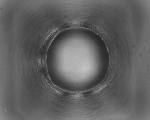 X0000078260432200611031207