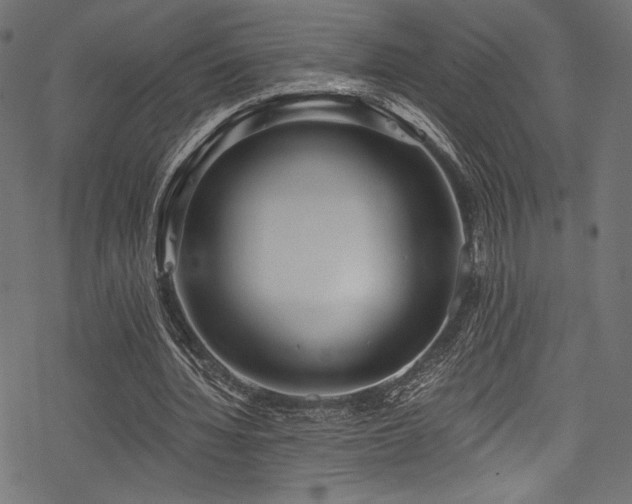 X0000078260436200611031206