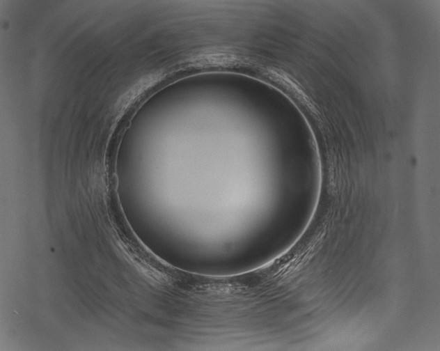 X0000078260439200611031206
