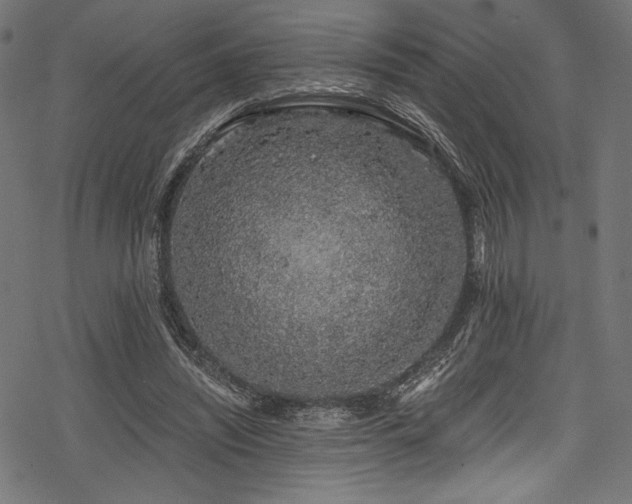 X0000078260444200611031206