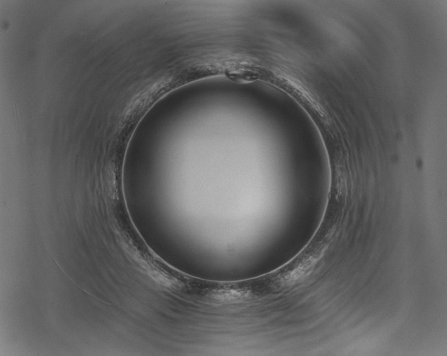 X0000078260453200611031206