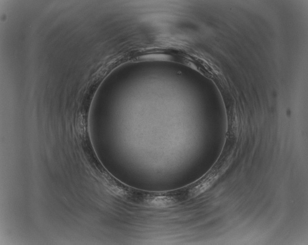X0000078260467200611031207