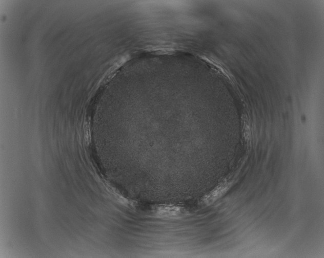 X0000078260471200611031207
