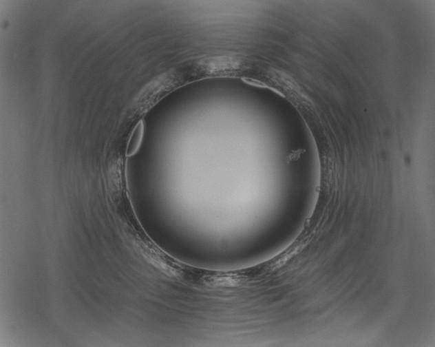 X0000078260475200611031207