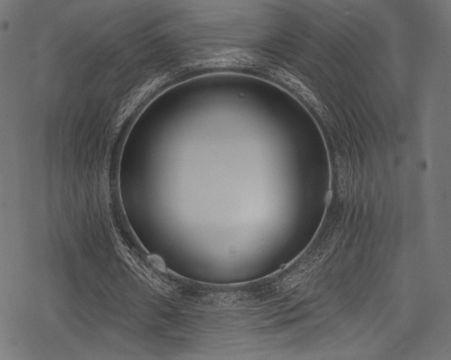 X0000078260482200611031206