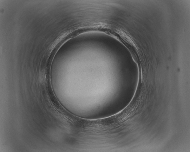 X0000078260483200611031206