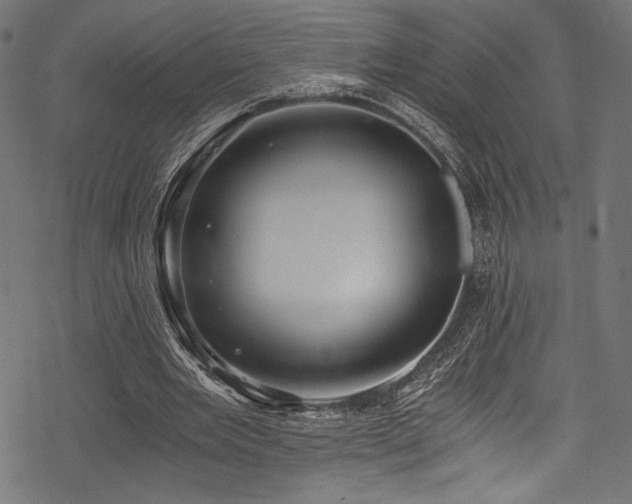 X0000078260485200611031206