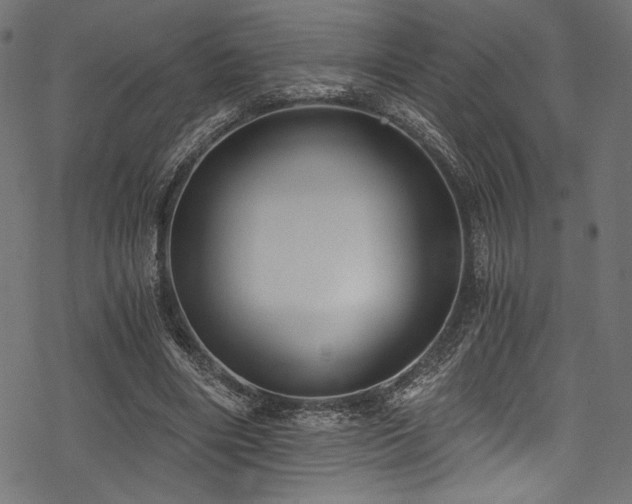 X0000078260490200611031206