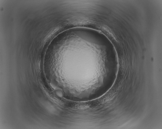 X0000078260491200611031206