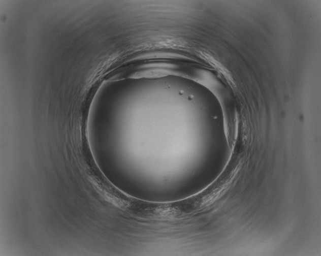 X0000078260493200611031206