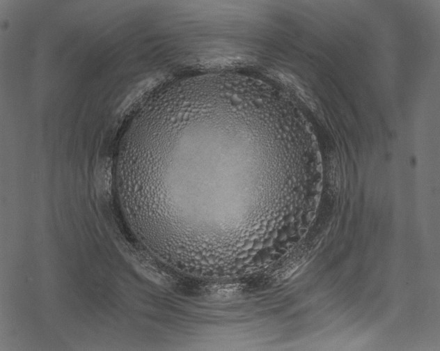 X0000078260495200611031206