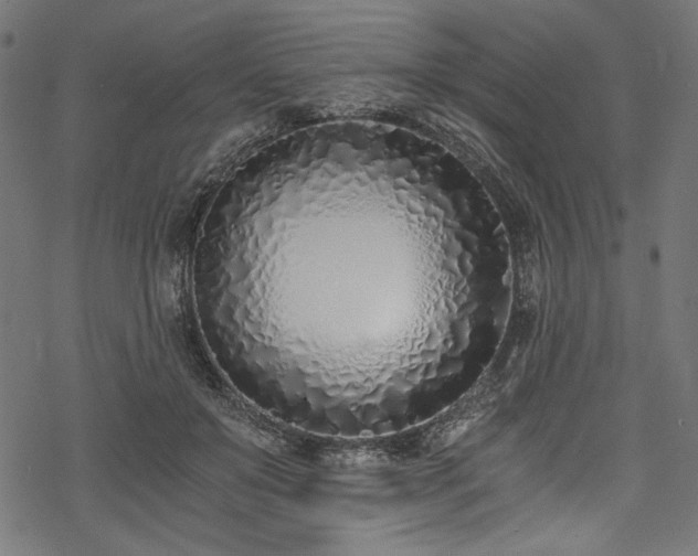 X0000078260503200611031206