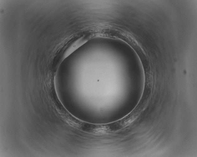 X0000078260505200611031206