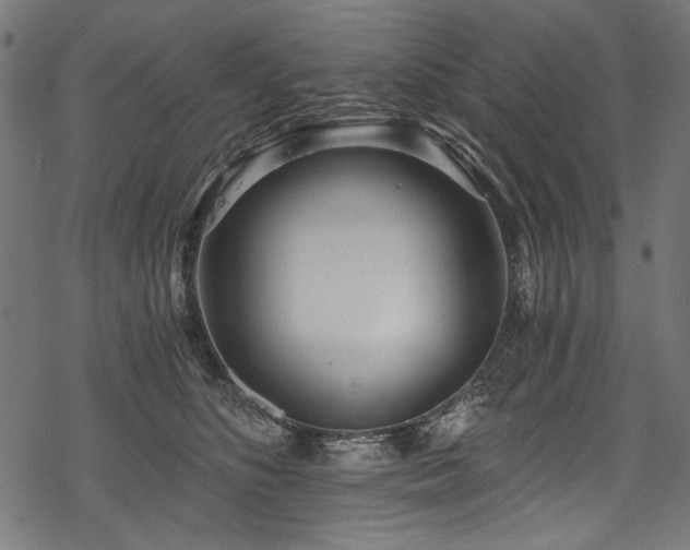 X0000078260516200611031206