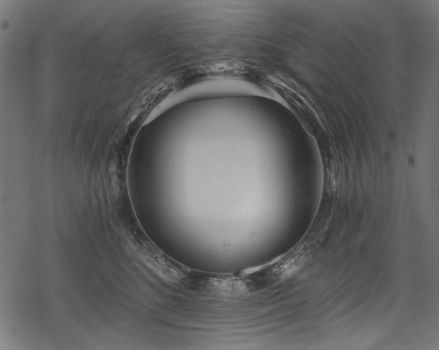 X0000078260520200611031206