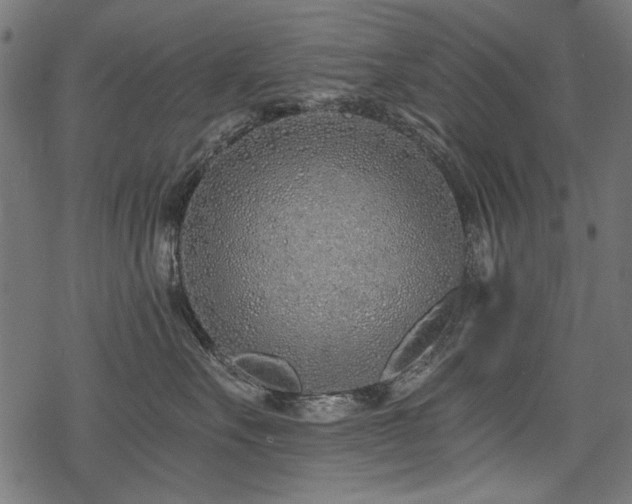 X0000078260527200611031205