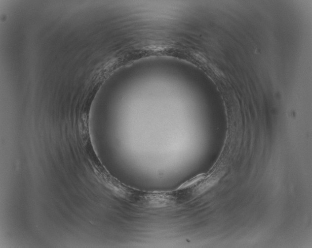 X0000078260528200611031205