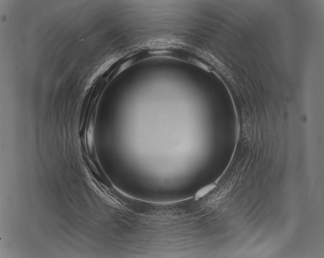 X0000078260530200611031205