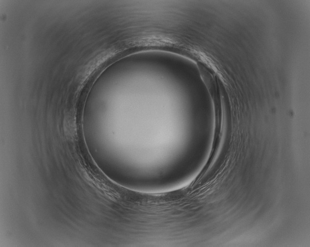 X0000078260531200611031205