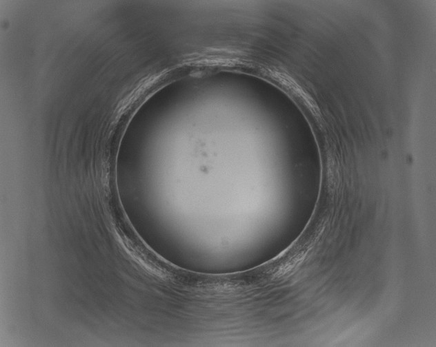 X0000078260533200611031205