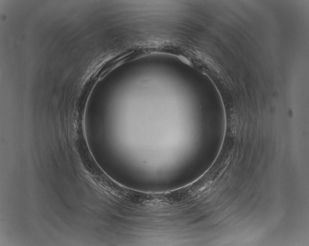 X0000078260544200611031205