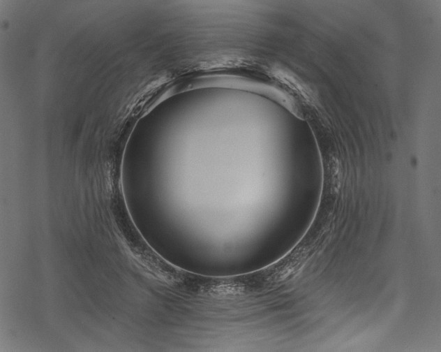 X0000078260546200611031205