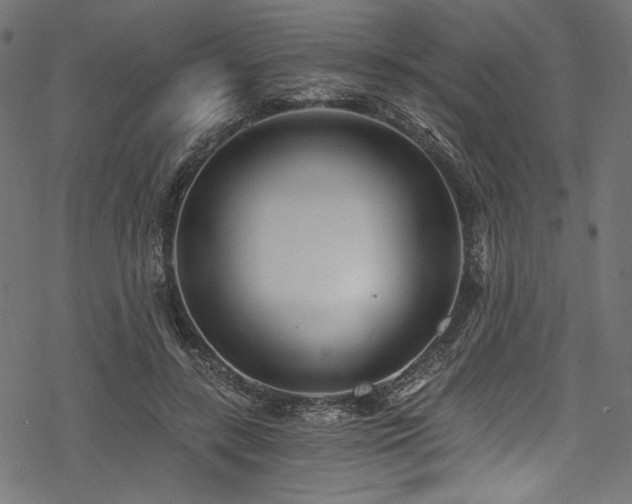 X0000078260547200611031205