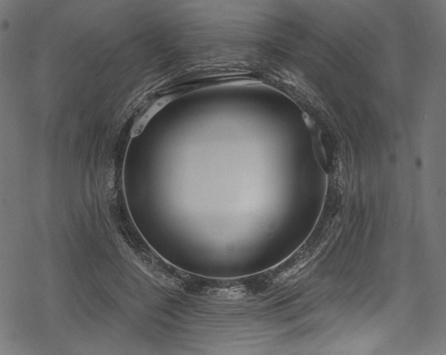 X0000078260548200611031205