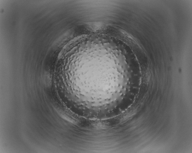 X0000078260558200611031205