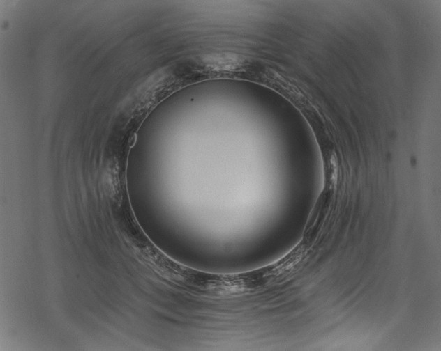 X0000078260559200611031205