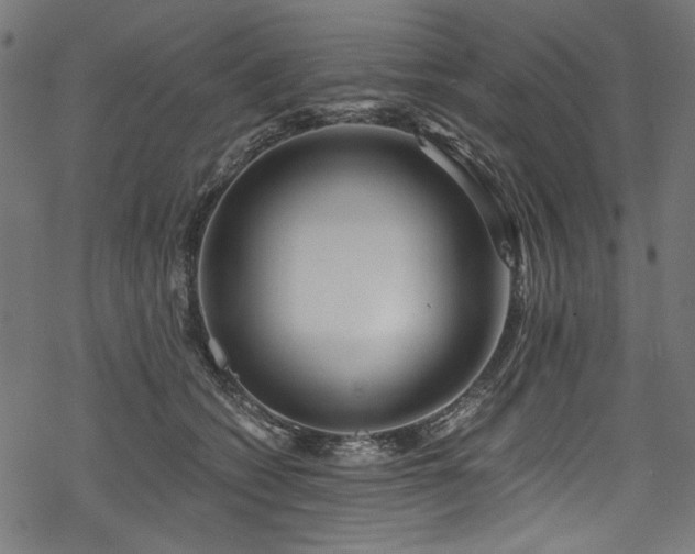 X0000078260562200611031205