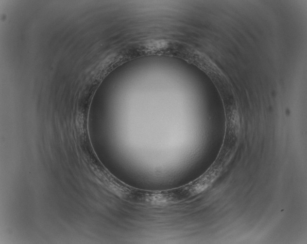 X0000078260565200611031205