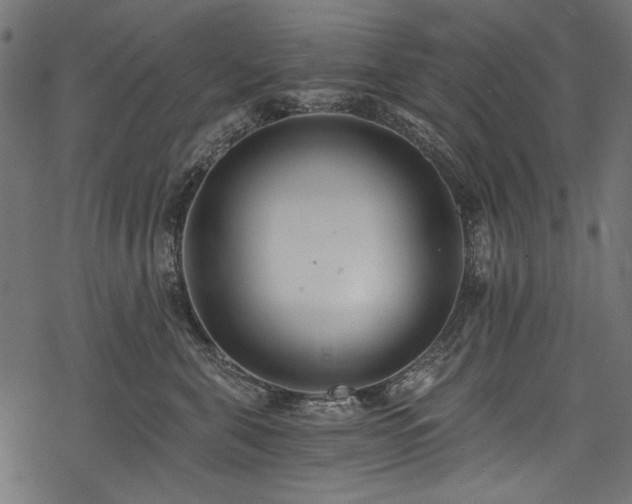 X0000078260571200611031205