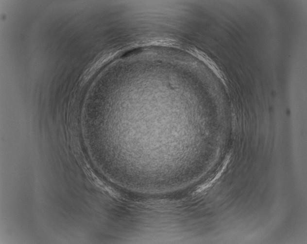 X0000078260577200611031205