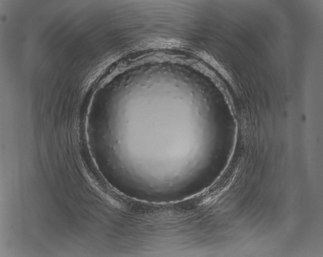 X0000078260581200611031205