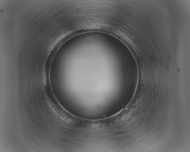 X0000078260584200611031204