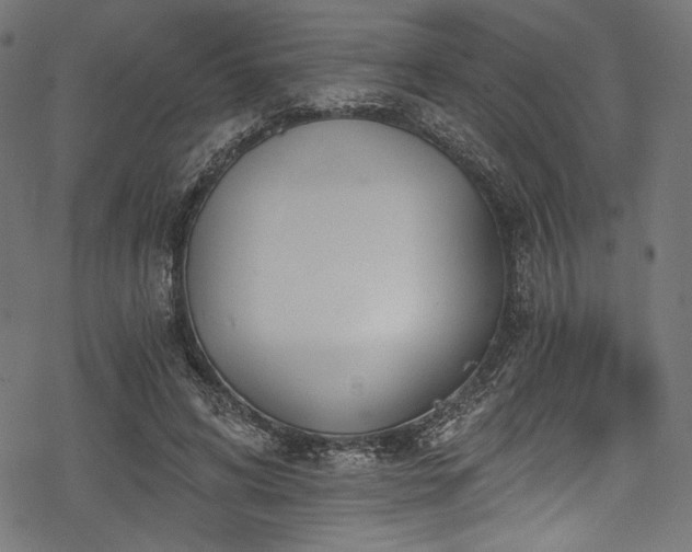 X0000078260592200611031204