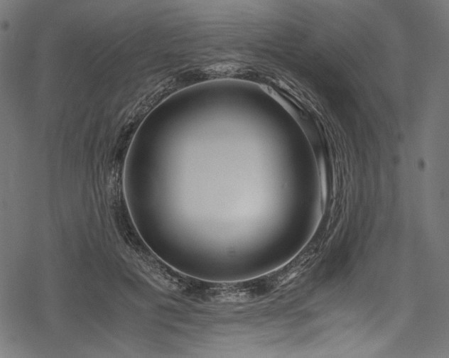 X0000078260601200611031204