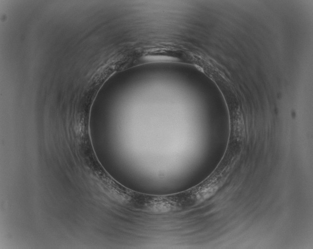 X0000078260608200611031204