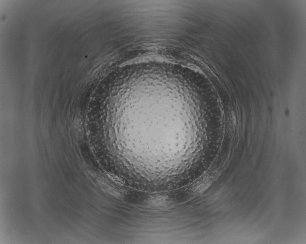 X0000078260609200611031204