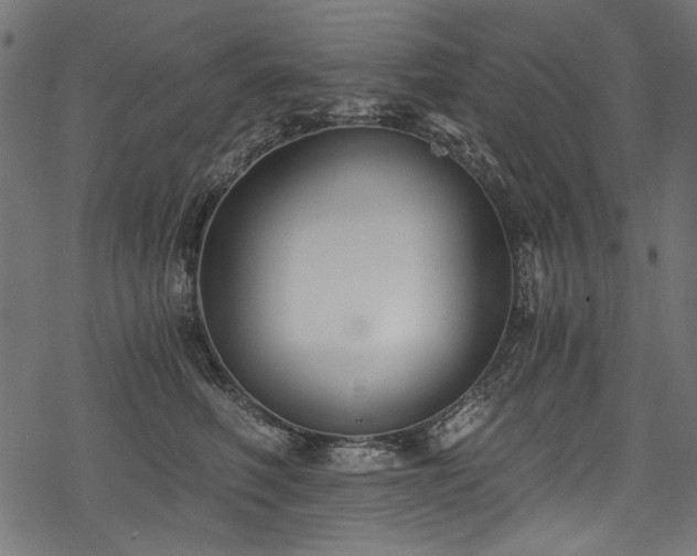 X0000078260614200611031204